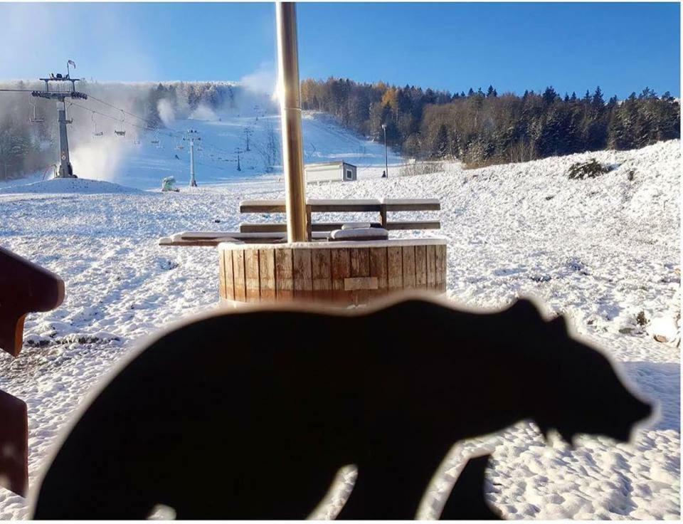 Pensjonat Laworta Ski Ustrzyki Dolne Extérieur photo